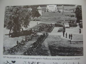 Lotnicza 6 z willi Gayczaka